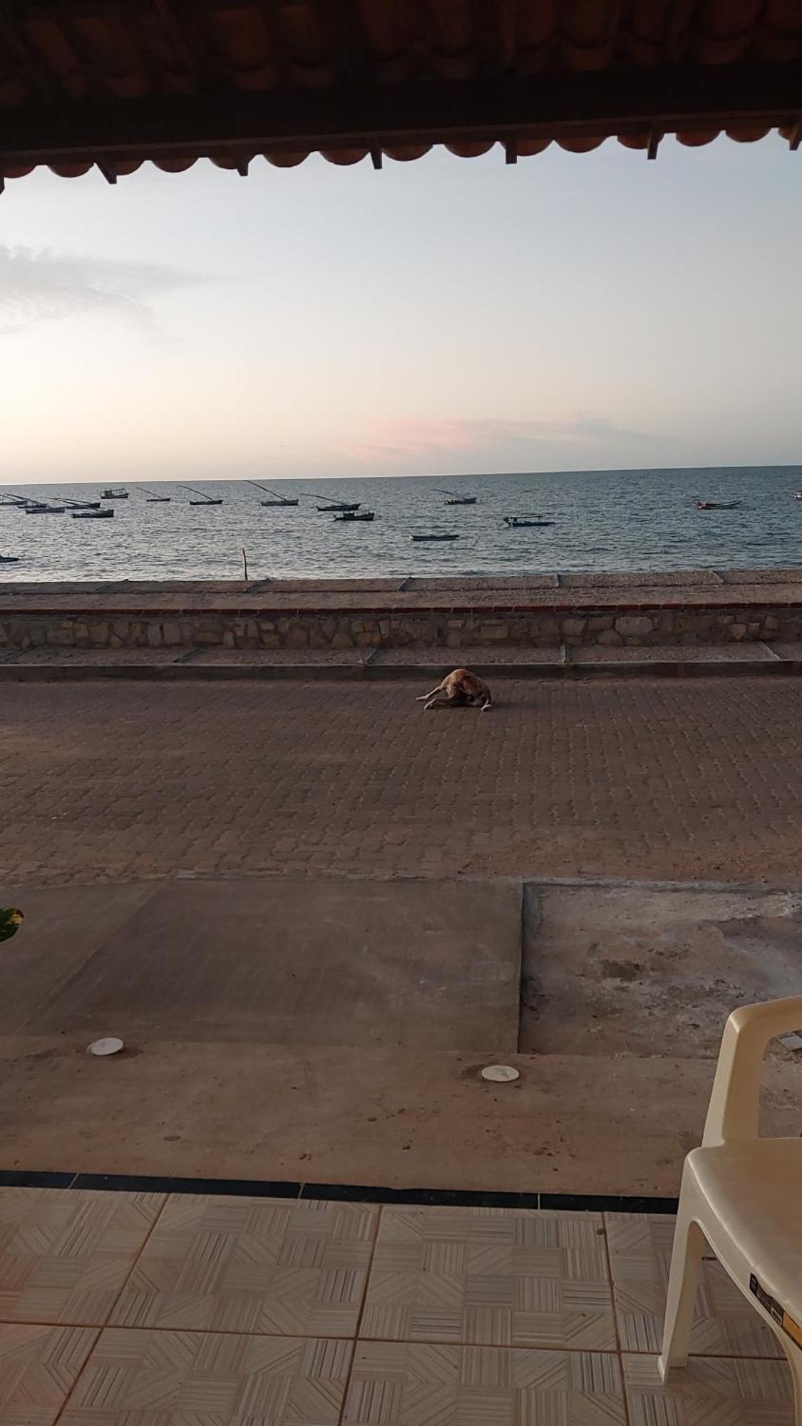 Chales Canto Do Mar Редонда Экстерьер фото